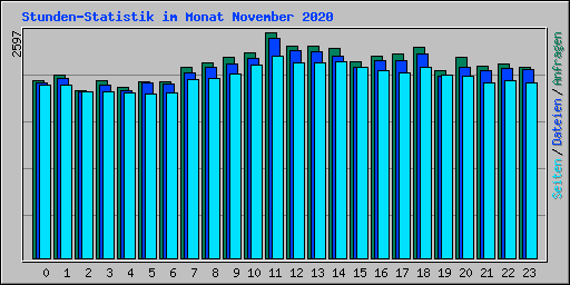 Stunden-Statistik im Monat November 2020