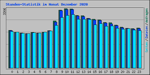 Stunden-Statistik im Monat Dezember 2020