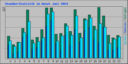 Stunden-Statistik im Monat Juni 2024