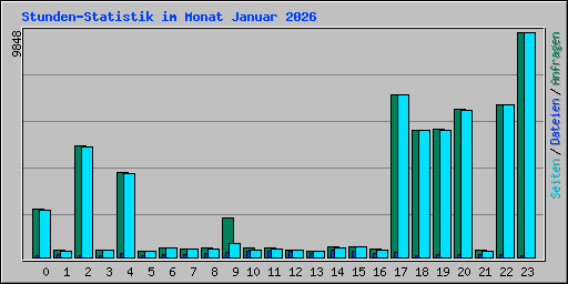 Stunden-Statistik im Monat Januar 2026