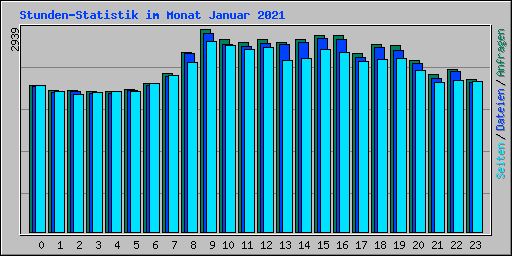 Stunden-Statistik im Monat Januar 2021