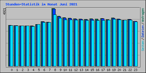 Stunden-Statistik im Monat Juni 2021