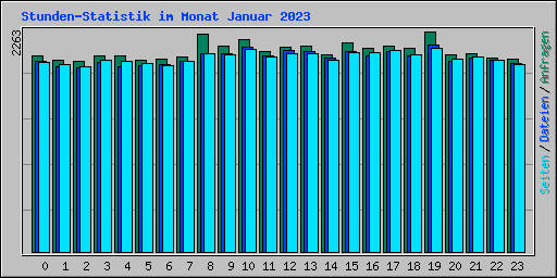 Stunden-Statistik im Monat Januar 2023