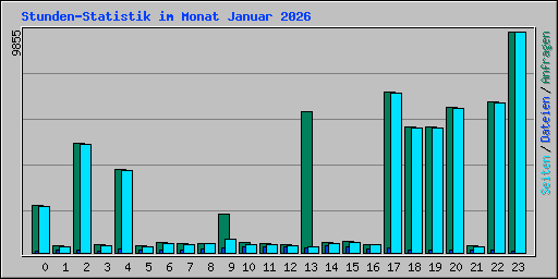 Stunden-Statistik im Monat Januar 2026