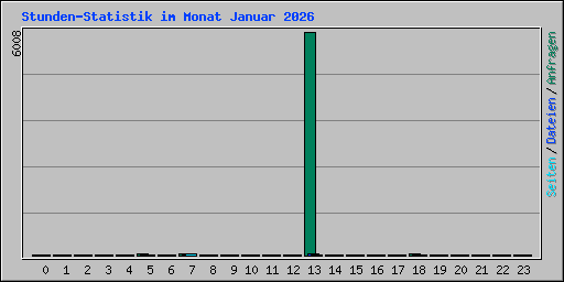 Stunden-Statistik im Monat Januar 2026